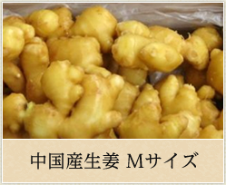 中国産生姜Mサイズ