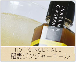 稲妻ジンジャーエール